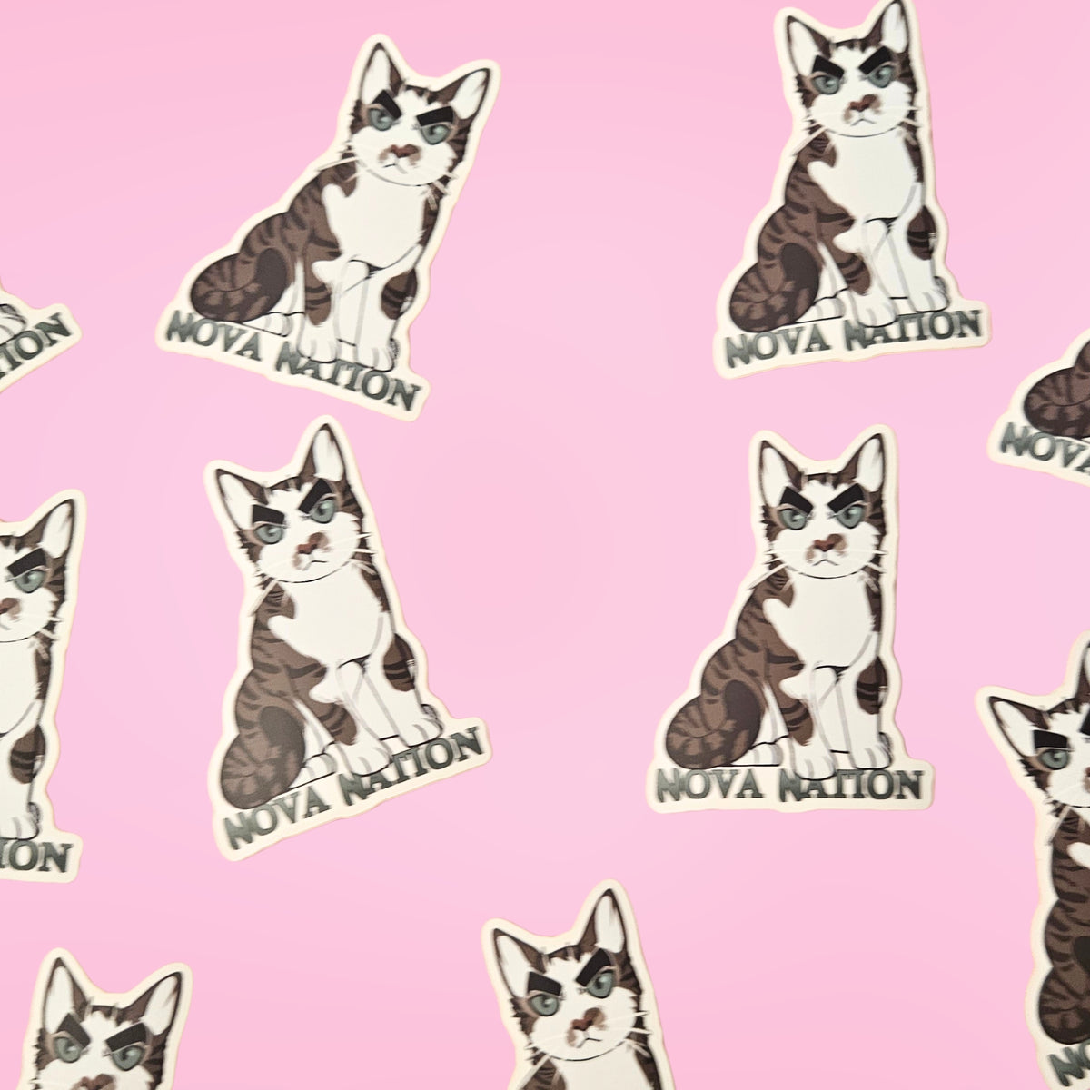 Nova Nation Waterproof Sticker